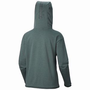 Columbia CSC™ Bugasweat Hoodie Dam Gröna (EVPIQ3862)